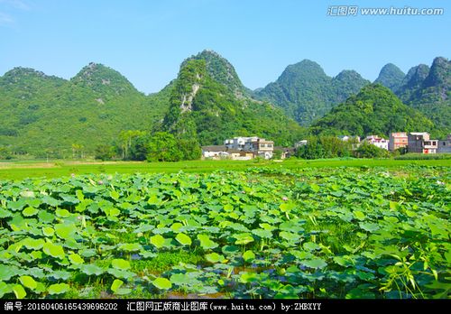 富豪的私生活：盖茨每年跟前女友度假巴菲特跟两个妻子同居26年